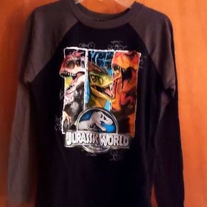 Boys Jurassic Park Shirt Size M